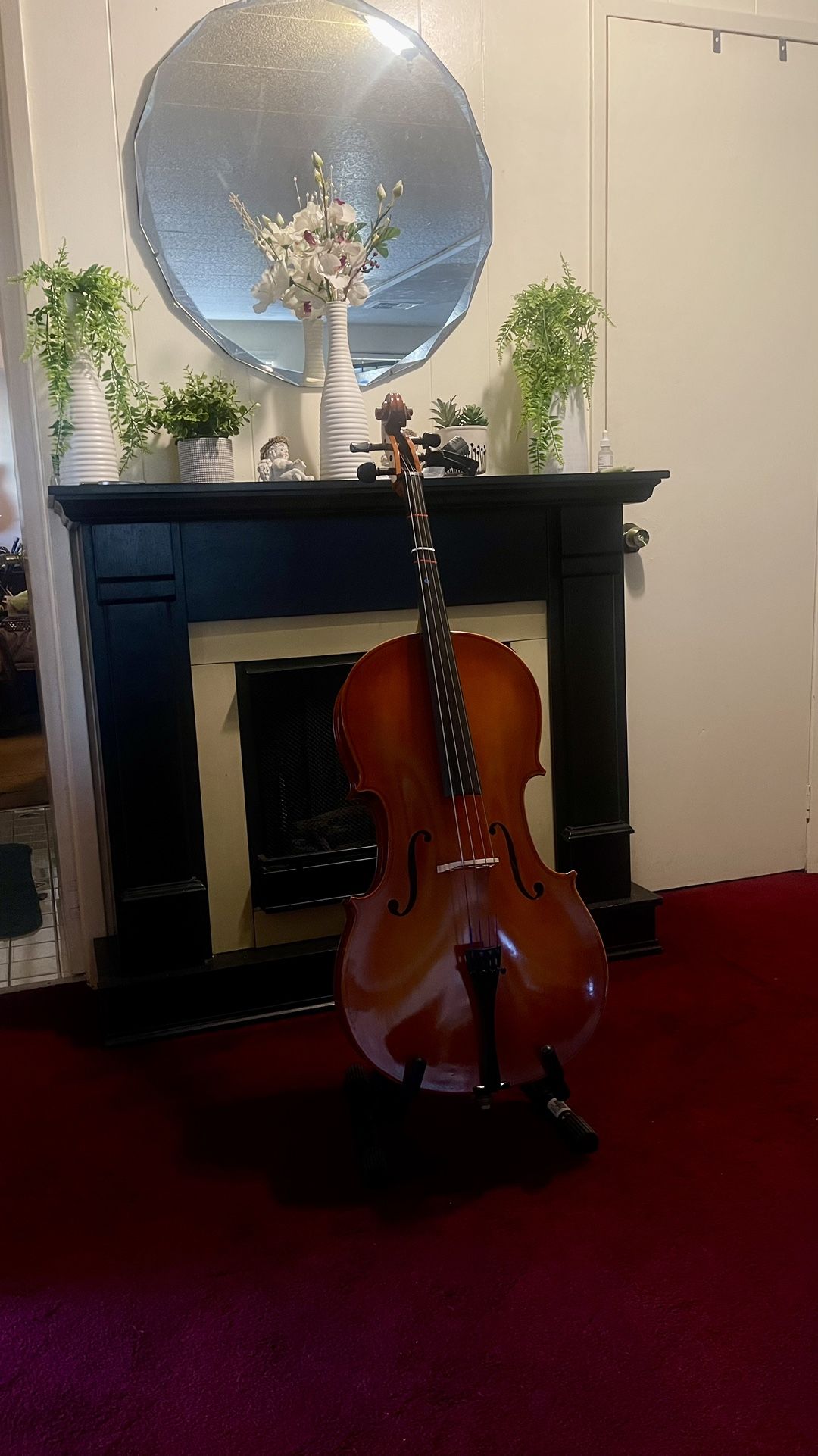 Samuel Eastman VC80 Cello $120