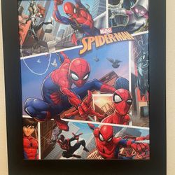 Spider-Man Picture Frame