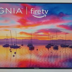 NEW INSIGNIA, 55in TV-50% OFF -$200