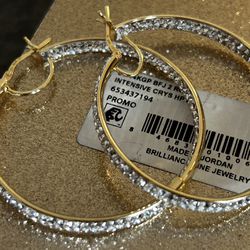 Brilliance 14k Hoop Diamond Earrings 