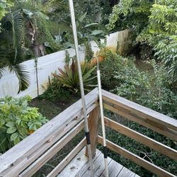 Fishing Gaph Poles Hooks 2