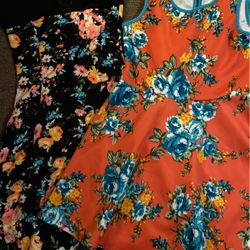 Two Dresses Size 10/12 