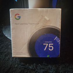 Google Nest Learning Thermostat/Nest Pro Edition/Stainless Steel 