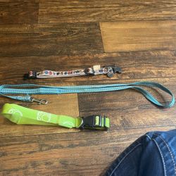 Collar And Leash
