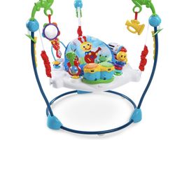Baby Einstein Neighborhood Symphony Activity Jumper 