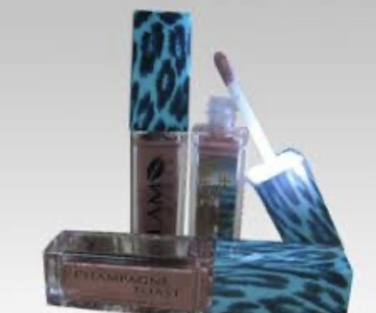 New Lip Gloss (Has A Button That Turns On Light + Mirror Included)