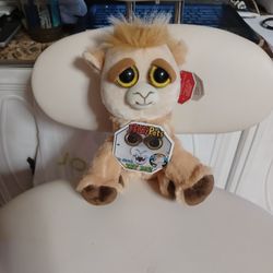 Dolly Llama Fiesty Pets