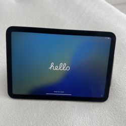 iPad Mini 