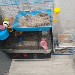Cage
