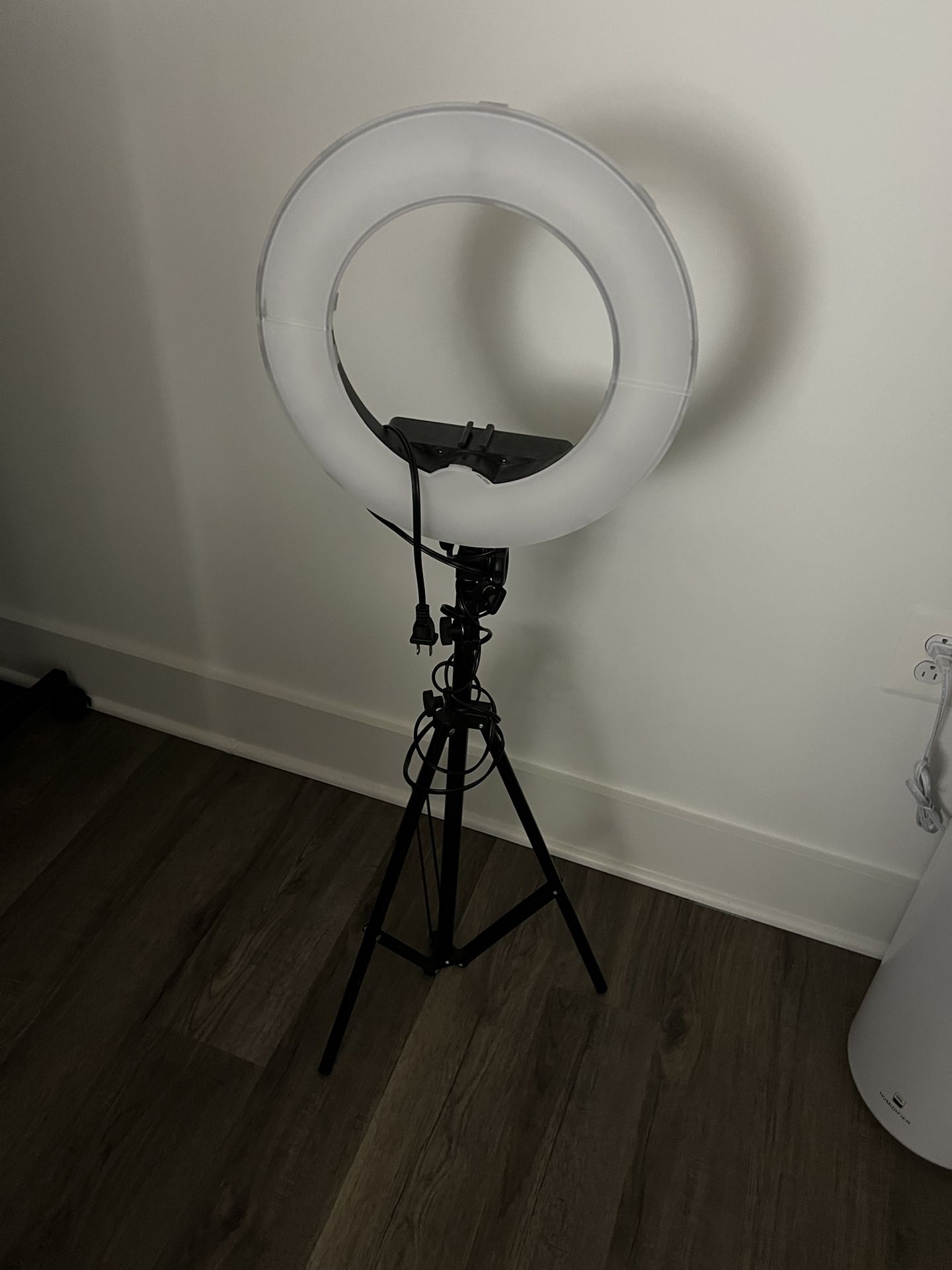 Ring Light