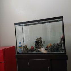 Fish Tank Aquarium