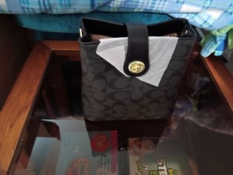 Black Purse