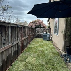 St. Agustine Sod Installation 