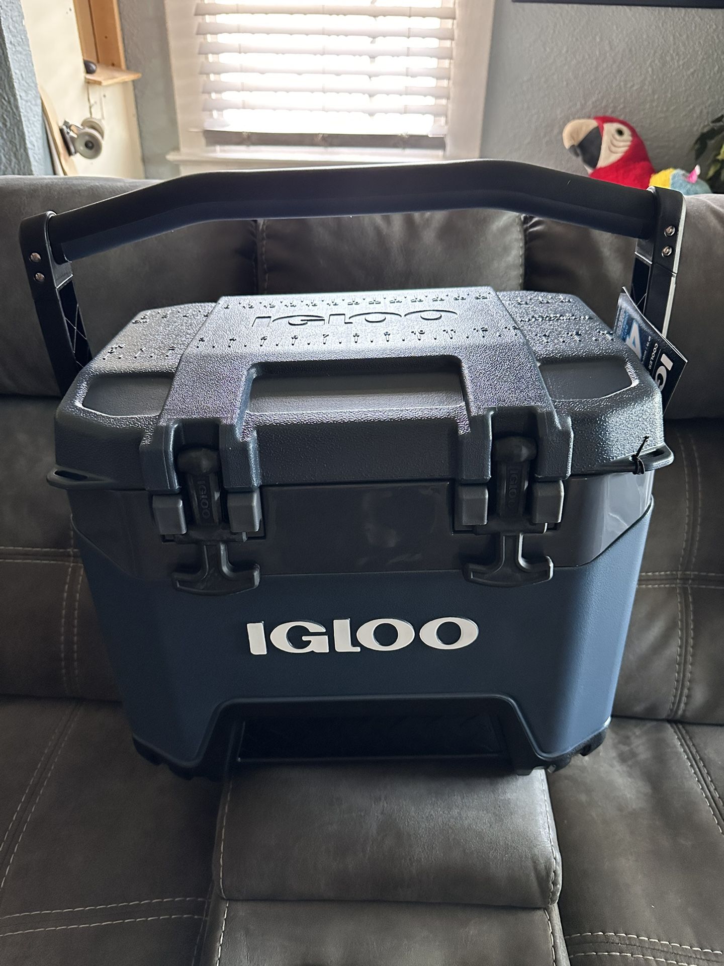 cooler igloo