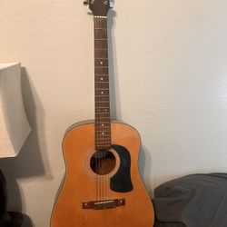 Acoustic Guitar 