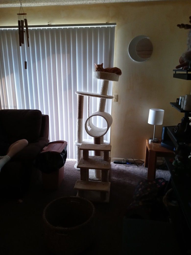 Cat Tree 