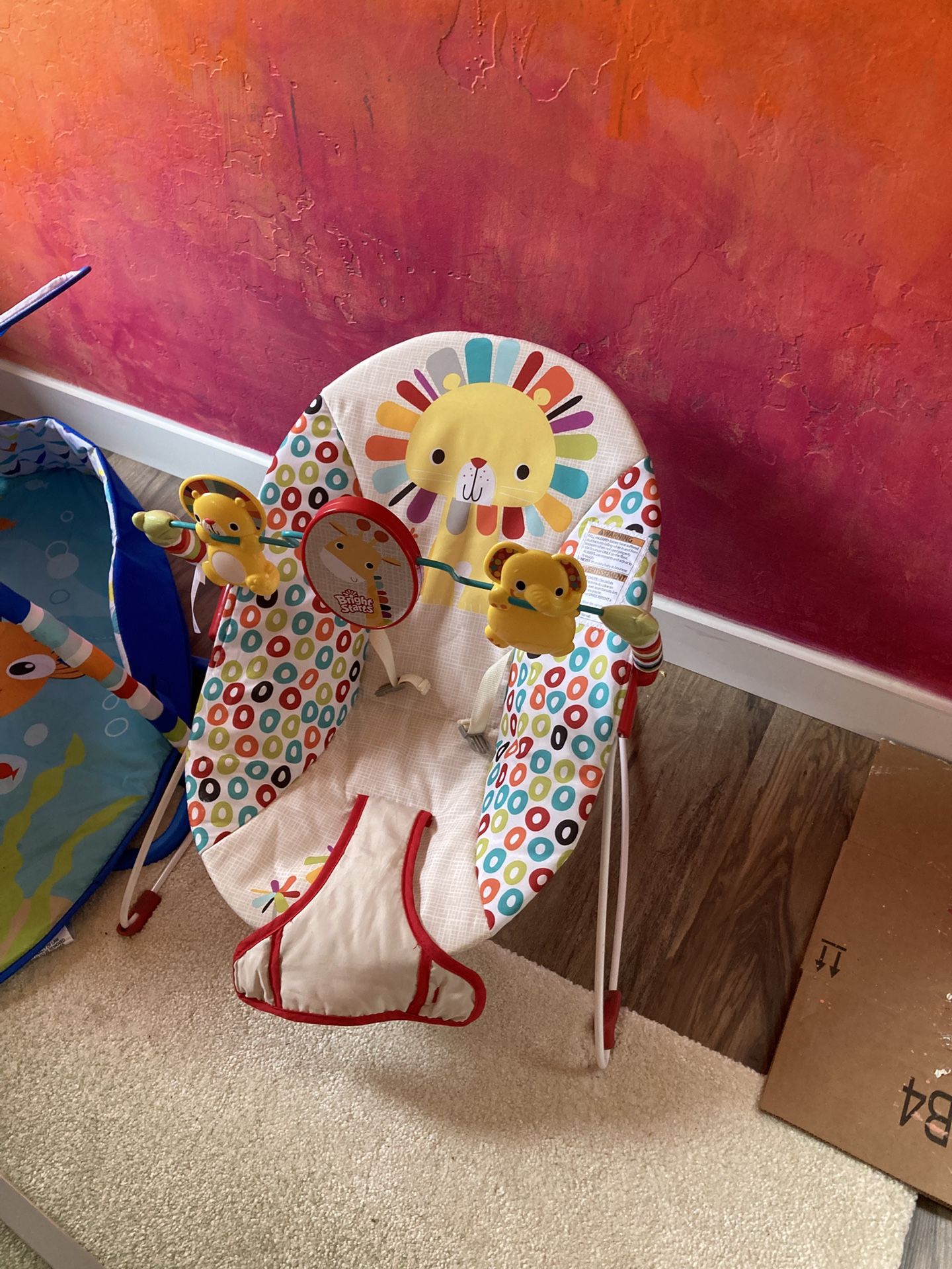 Baby Bouncer Chair