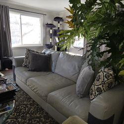 Natuzzi Leather Couch For Sale