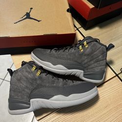 Nike Jordan 12 Dark Grey RARE SIZE 9
