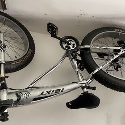 Fat tire Bike
