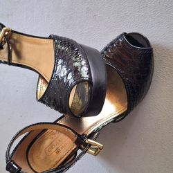 Shoes,coach 6.5