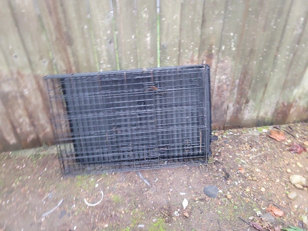 Dog kennel for training.