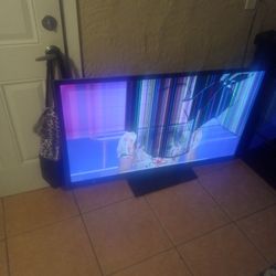 Sony 50 Inch Works But Screen Was Hit So Part Of Screen Has Lines