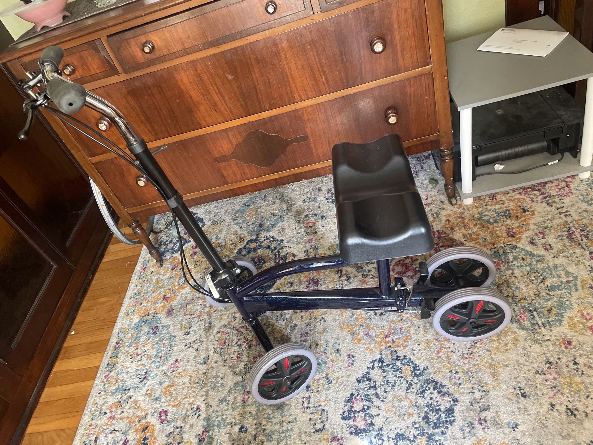 Mobility  Cart