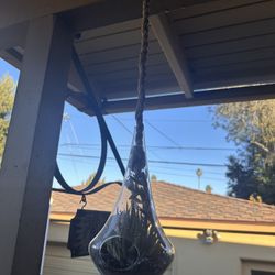 Hanging Glass With Plants 