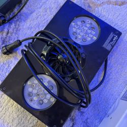 Two Radion XR30 Pro Generation 3