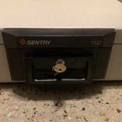 Sentry 1100 Fireproof Box 0.17 Cubic Feet