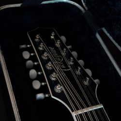 Takamine Legacy Deluxe 