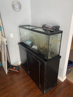 75 Gallons Fish Tank 