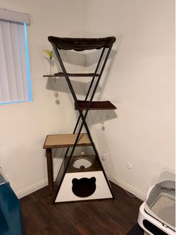 Modern wasn’t catching with condo and scratching post