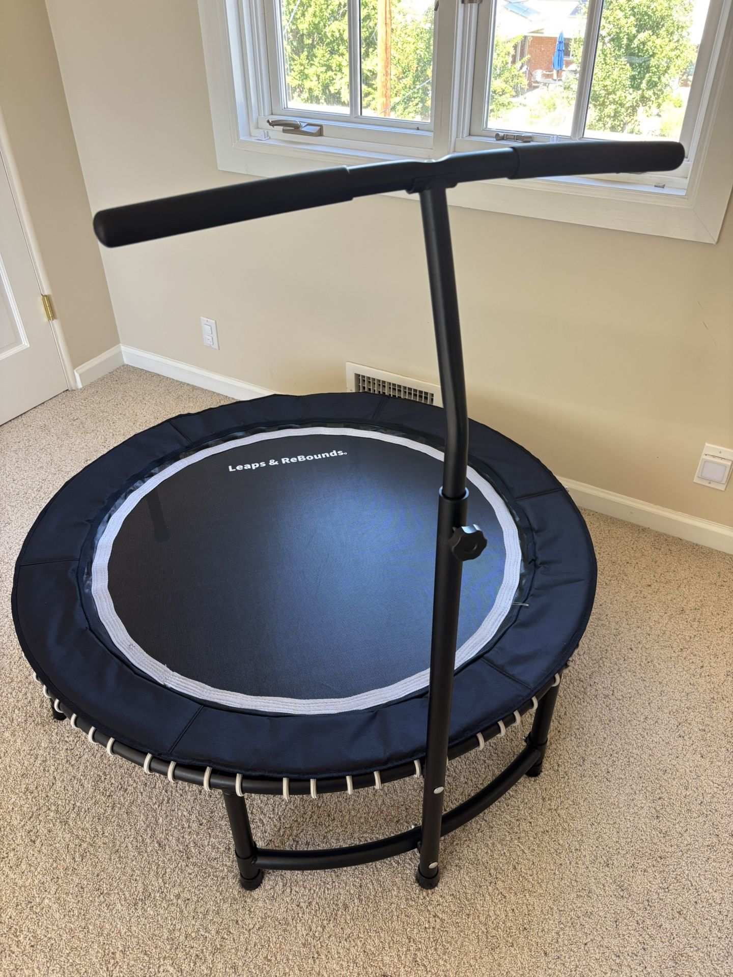 Leaps And ReBounds Rebounder