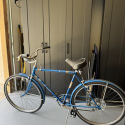 Schwinn Classic Bike 