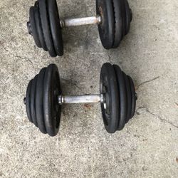 Pair of 60 lb changeable steel dumbbells 