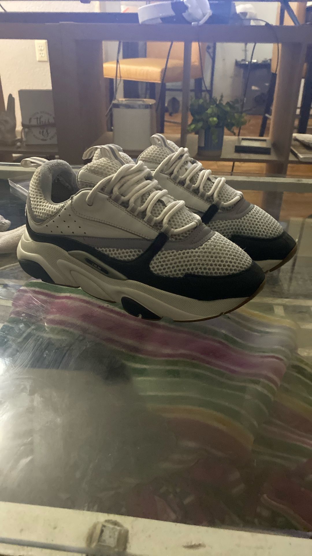 Dior B22
