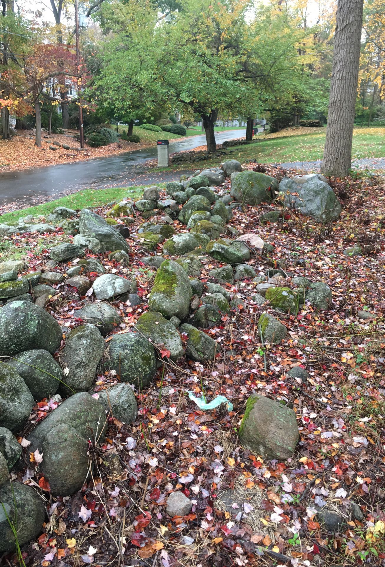 Rocks!! Attention landscapers!