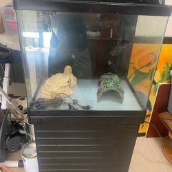 Saltwater Fish Tank