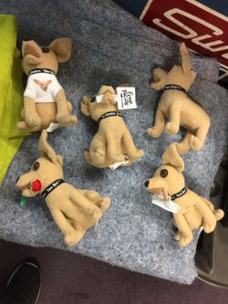 Taco Bell talking dog