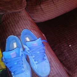 Aadias, Pumas,Jordan's, Steve Maddens,Nikes,Gym Shoes.