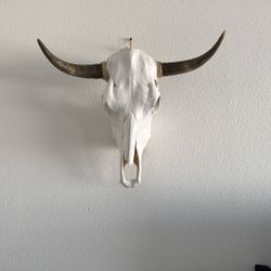 Bull Head 