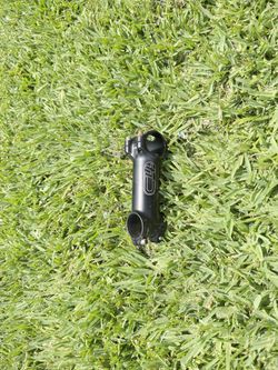 C4 Stem Post