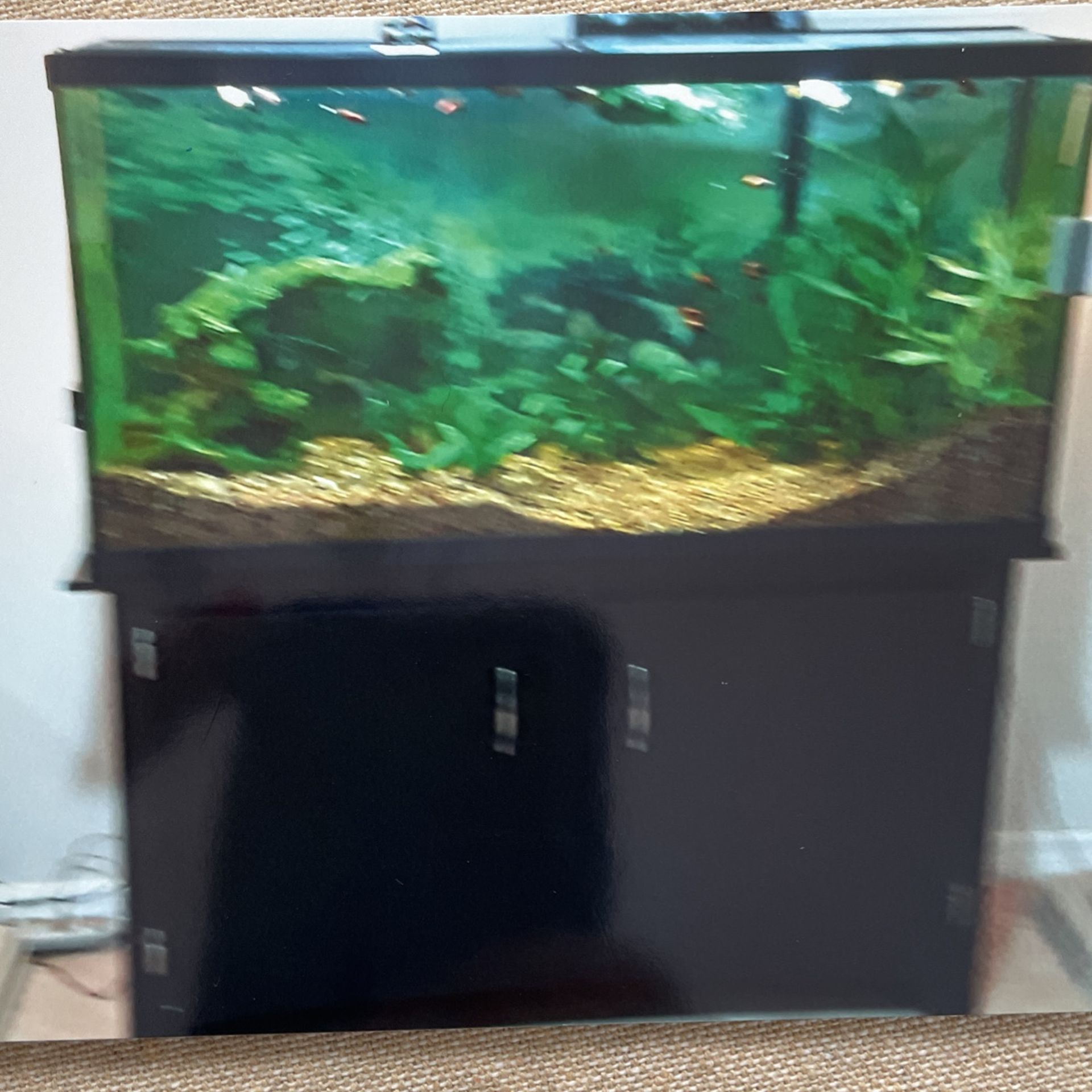 Aquarium