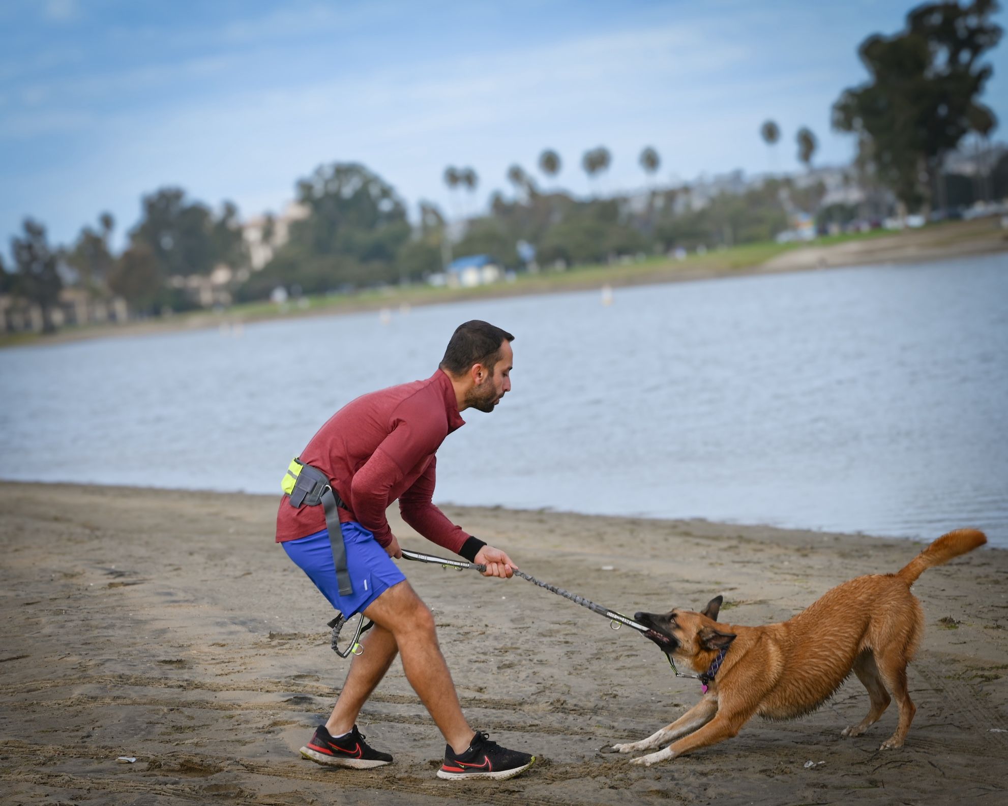 Free Meet & Greet for Dog Owners – San Diego 🐶💛