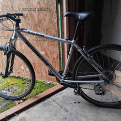 21 Sp Urban/Mountain Bike
