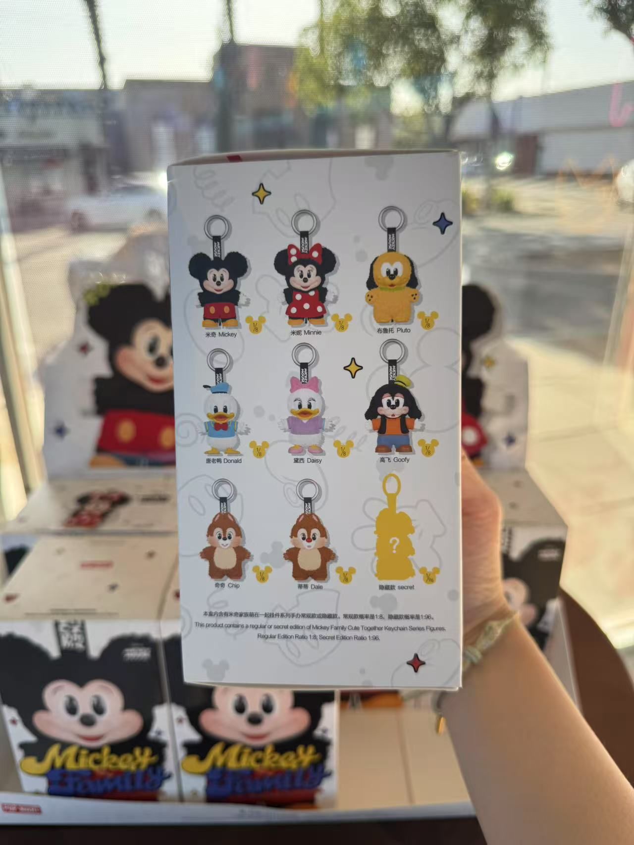 Pop Mart Mickey Family Blind Box 1 Case