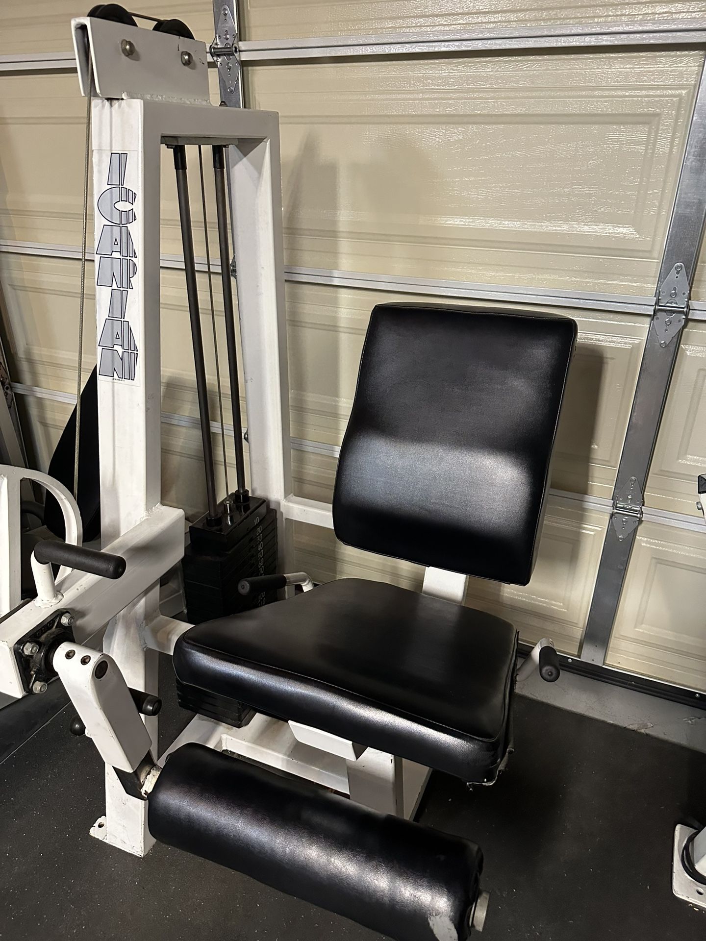 Leg Extension