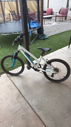 20” bicycle